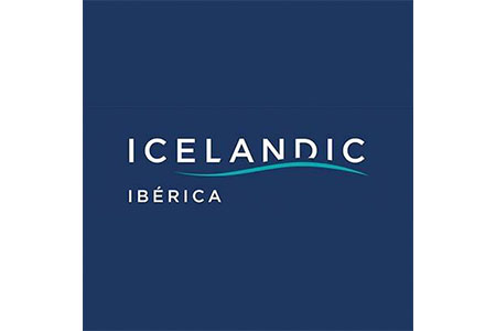 logo icelandinc