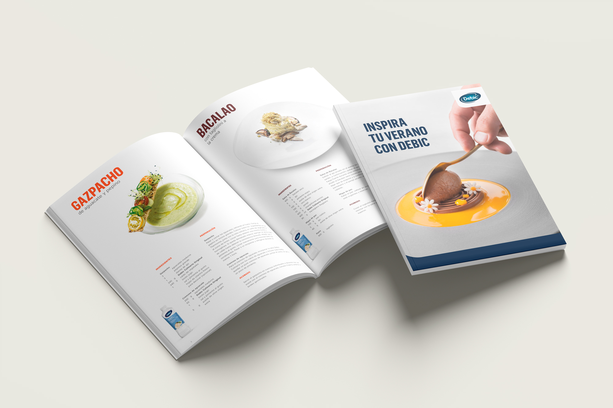 llibre receptes debic